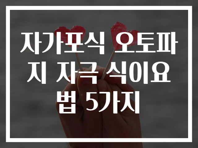자가포식 오토파지 자극 식이요법 5가지