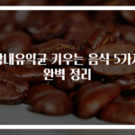 장내유익균 키우는 음식 5가지 완벽 정리