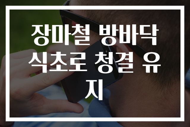 장마철 방바닥 식초로 청결 유지