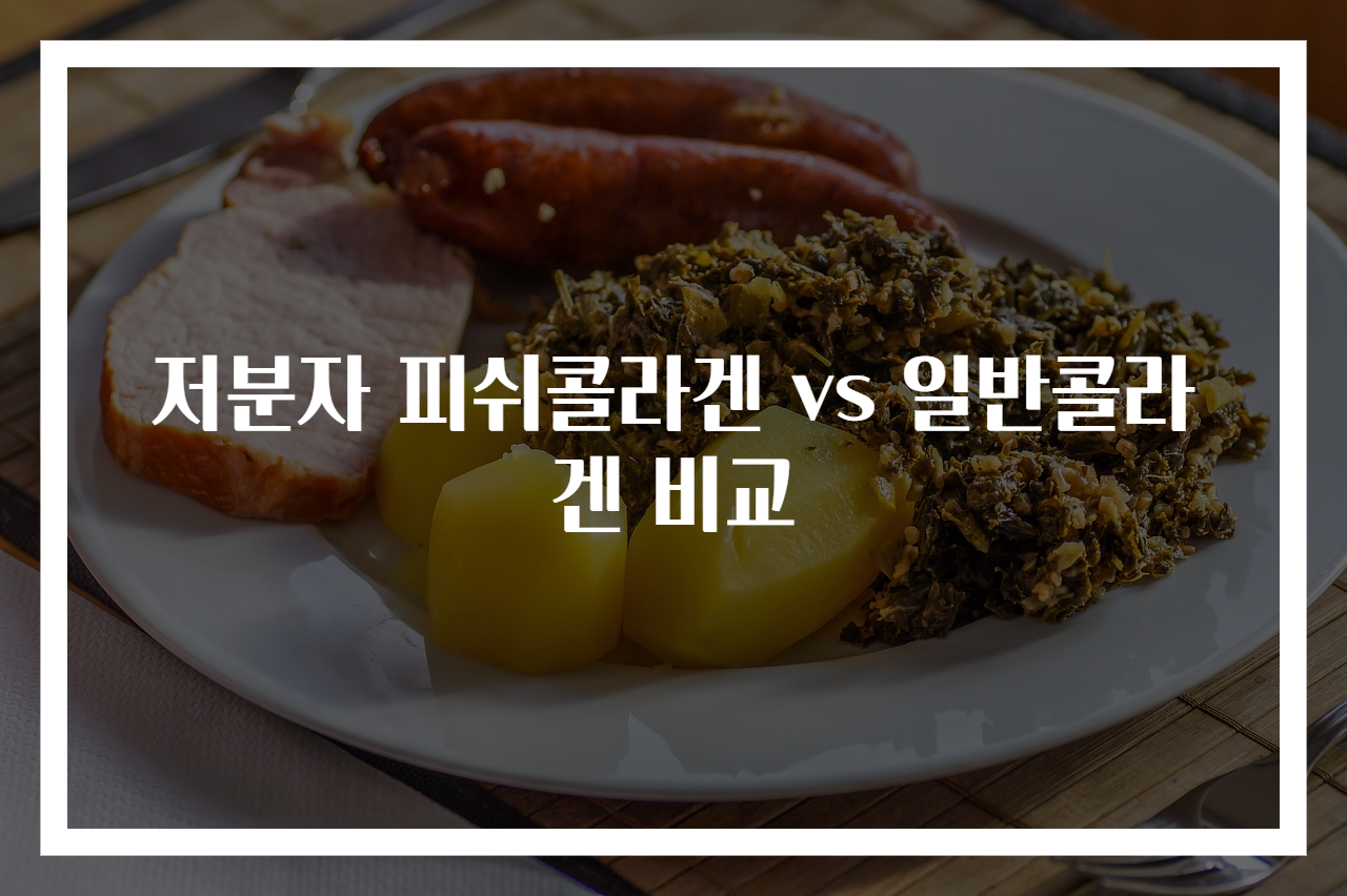 저분자 피쉬콜라겐 vs 일반콜라겐 비교