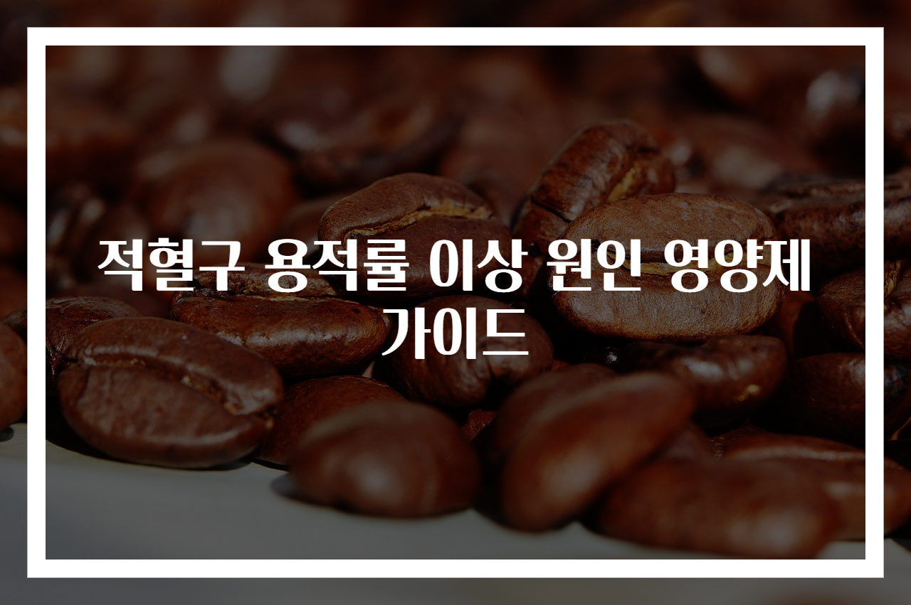 적혈구 용적률 이상 원인 영양제 가이드