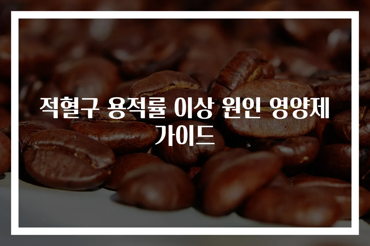 적혈구 용적률 이상 원인 영양제 가이드