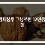 종량제봉투 그냥쓰면 12만큼 손해