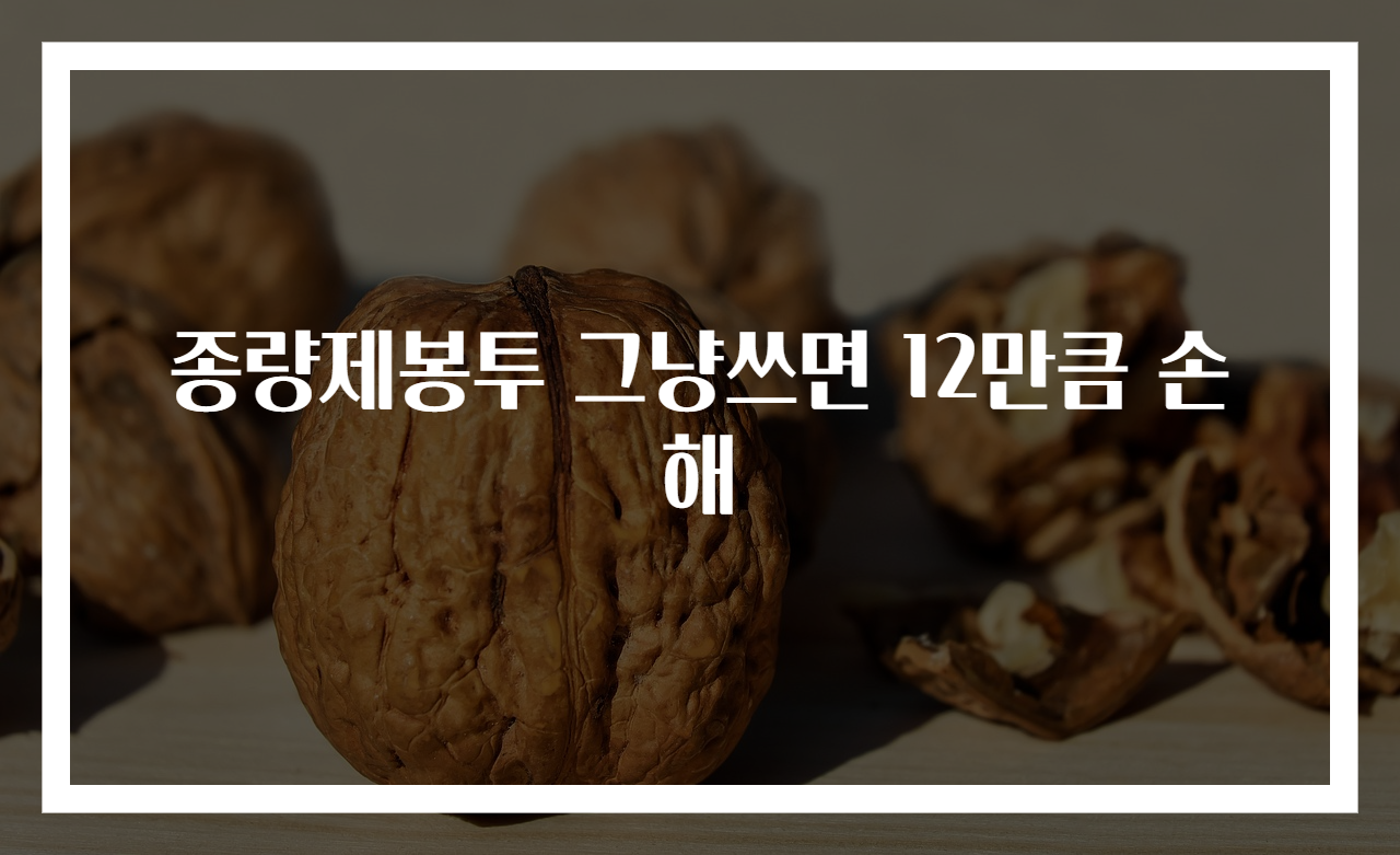 종량제봉투 그냥쓰면 12만큼 손해