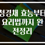 청경채 효능부터 요리법까지 완전정리