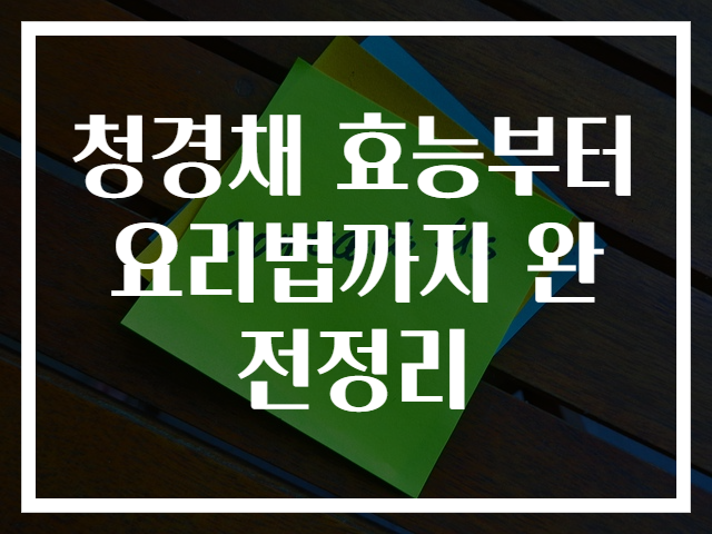 청경채 효능부터 요리법까지 완전정리