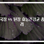 청국장 vs 된장 효능건강균 총정리