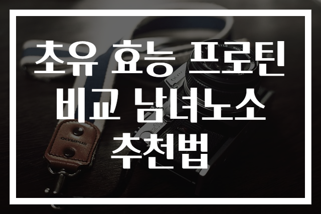 초유 효능 프로틴 비교 남녀노소 추천법
