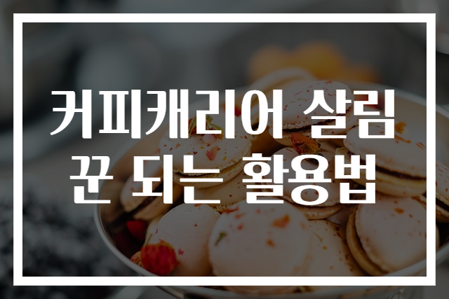 커피캐리어 살림꾼 되는 활용법