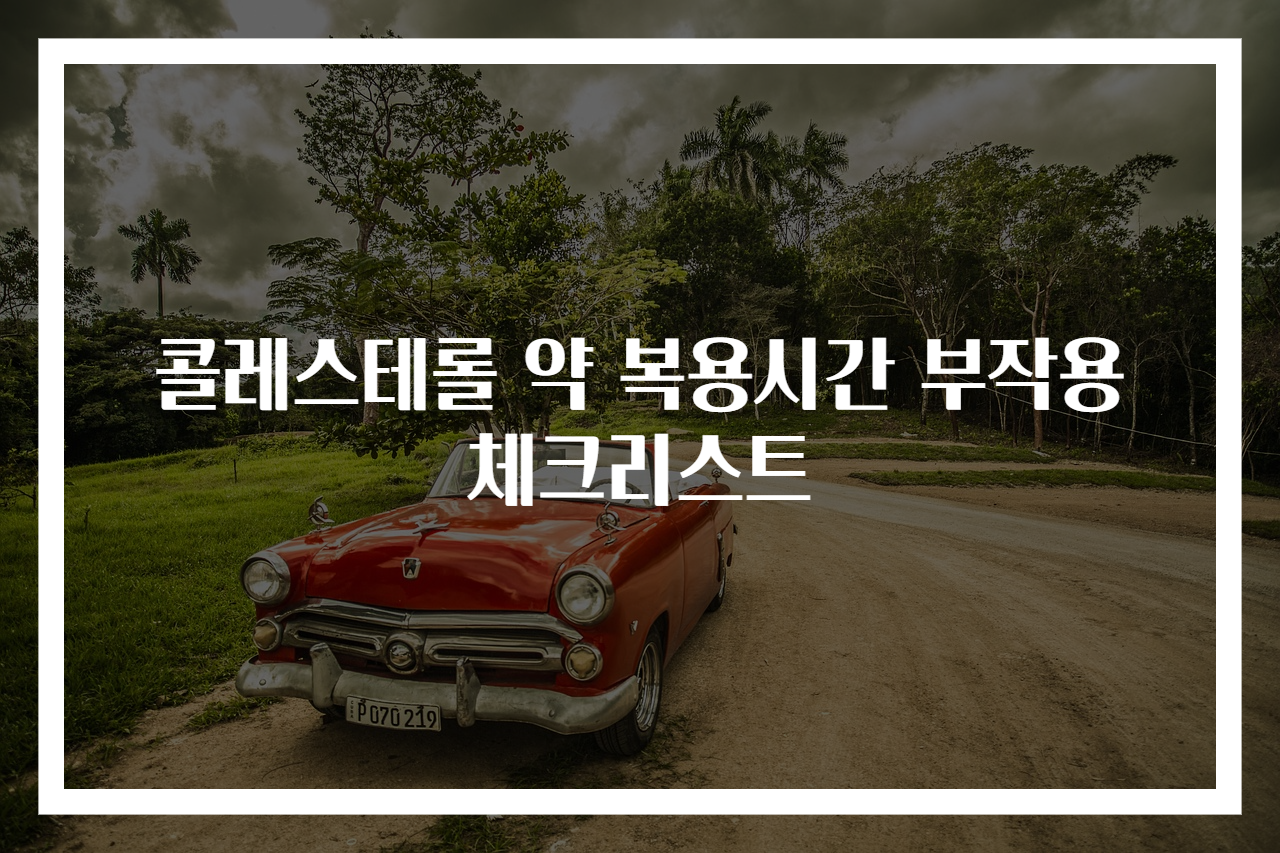 콜레스테롤 약 복용시간 부작용 체크리스트