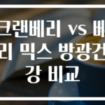 크랜베리 vs 베리 믹스 방광건강 비교