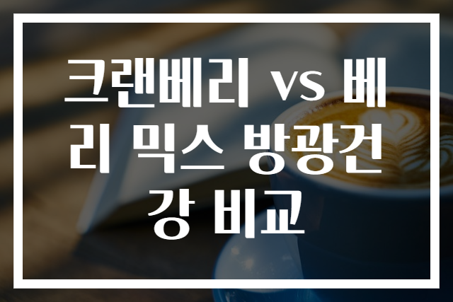 크랜베리 vs 베리 믹스 방광건강 비교