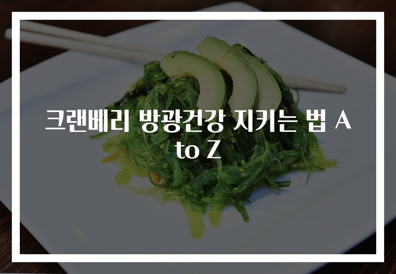 크랜베리 방광건강 지키는 법 A to Z