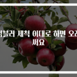 텀블러 세척 이대로 하면 오래 써요