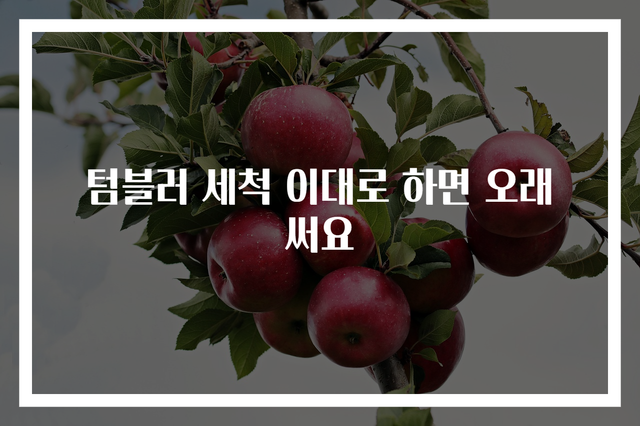 텀블러 세척 이대로 하면 오래 써요