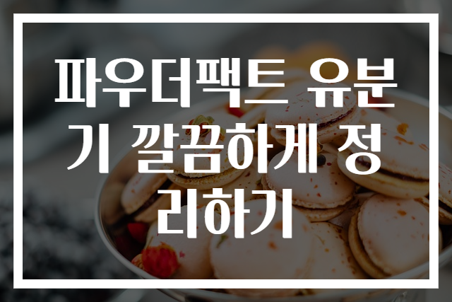 파우더팩트 유분기 깔끔하게 정리하기