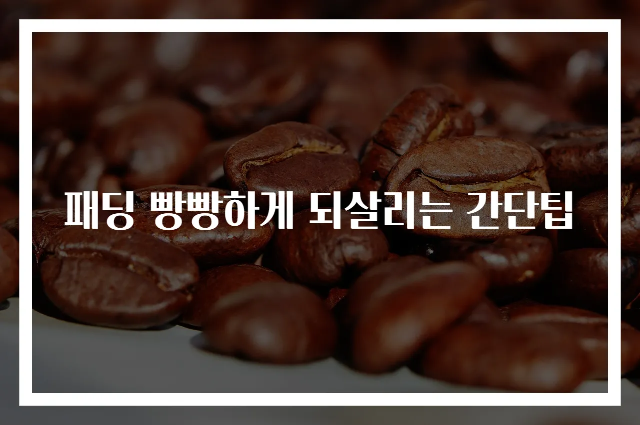 패딩 빵빵하게 되살리는 간단팁