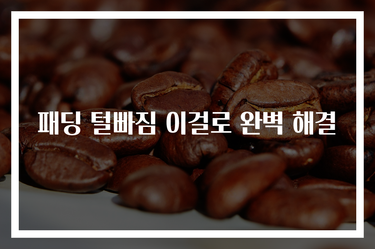 패딩 털빠짐 이걸로 완벽 해결