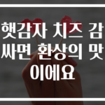 햇감자 치즈 감싸면 환상의 맛이에요