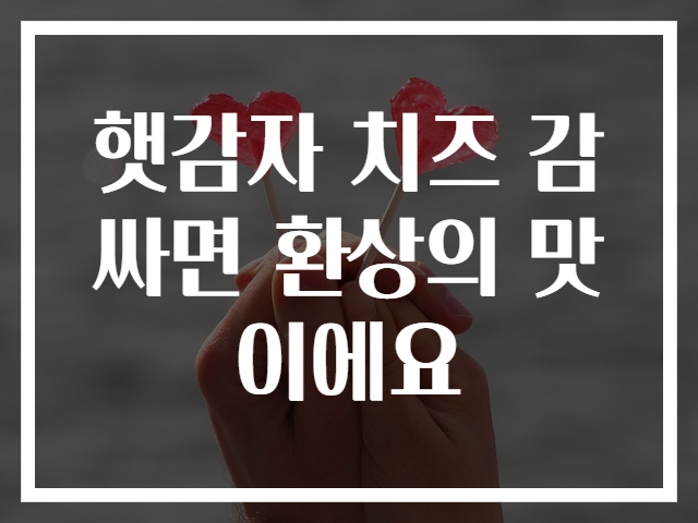 햇감자 치즈 감싸면 환상의 맛이에요