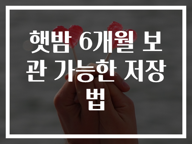 햇밤 6개월 보관 가능한 저장법