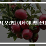 홍시 보관법 이거 하나면 끝나요