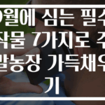 9월에 심는 필수 작물 7가지로 주말농장 가득채우기