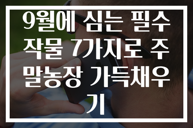 9월에 심는 필수 작물 7가지로 주말농장 가득채우기