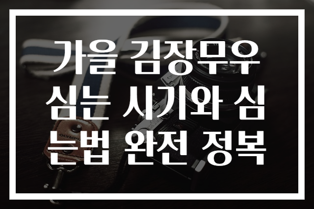 가을 김장무우 심는 시기와 심는법 완전 정복