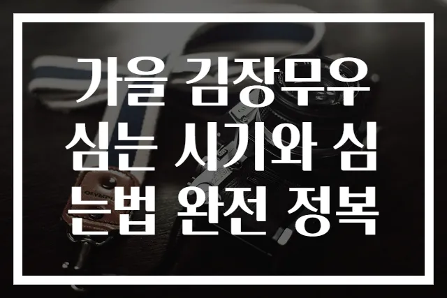 가을 김장무우 심는 시기와 심는법 완전 정복