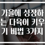 가을에 성장하는 다육이 키우기 비법 3가지