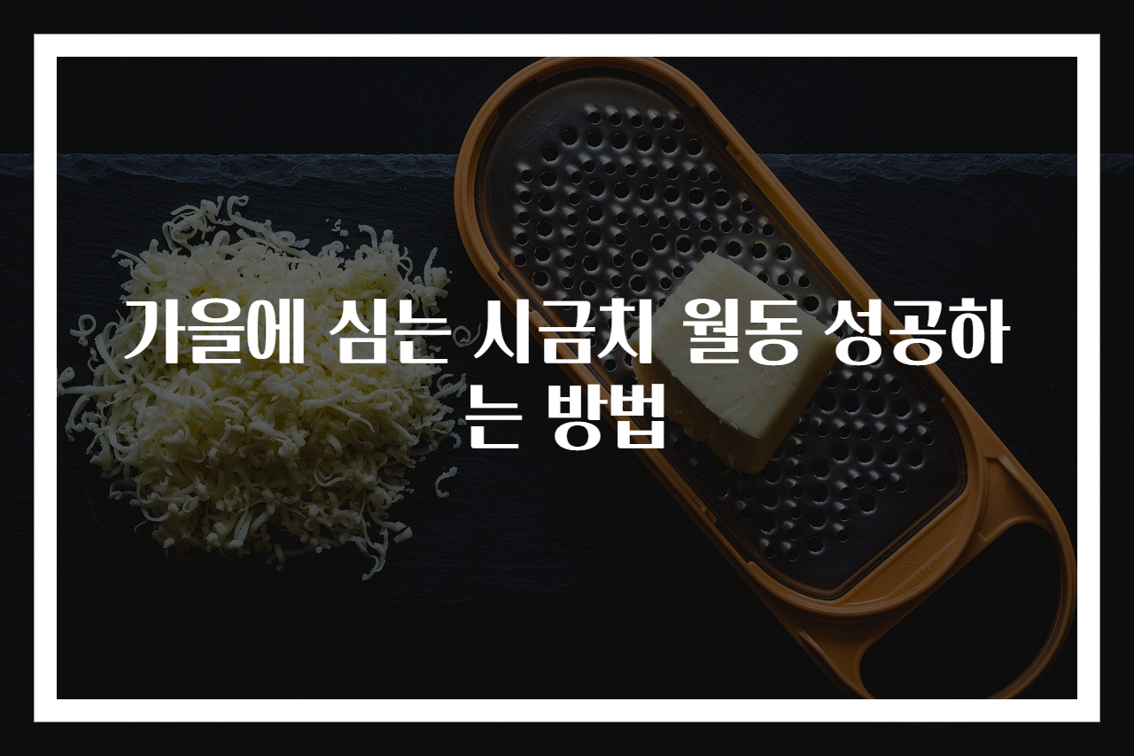 가을에 심는 시금치 월동 성공하는 방법