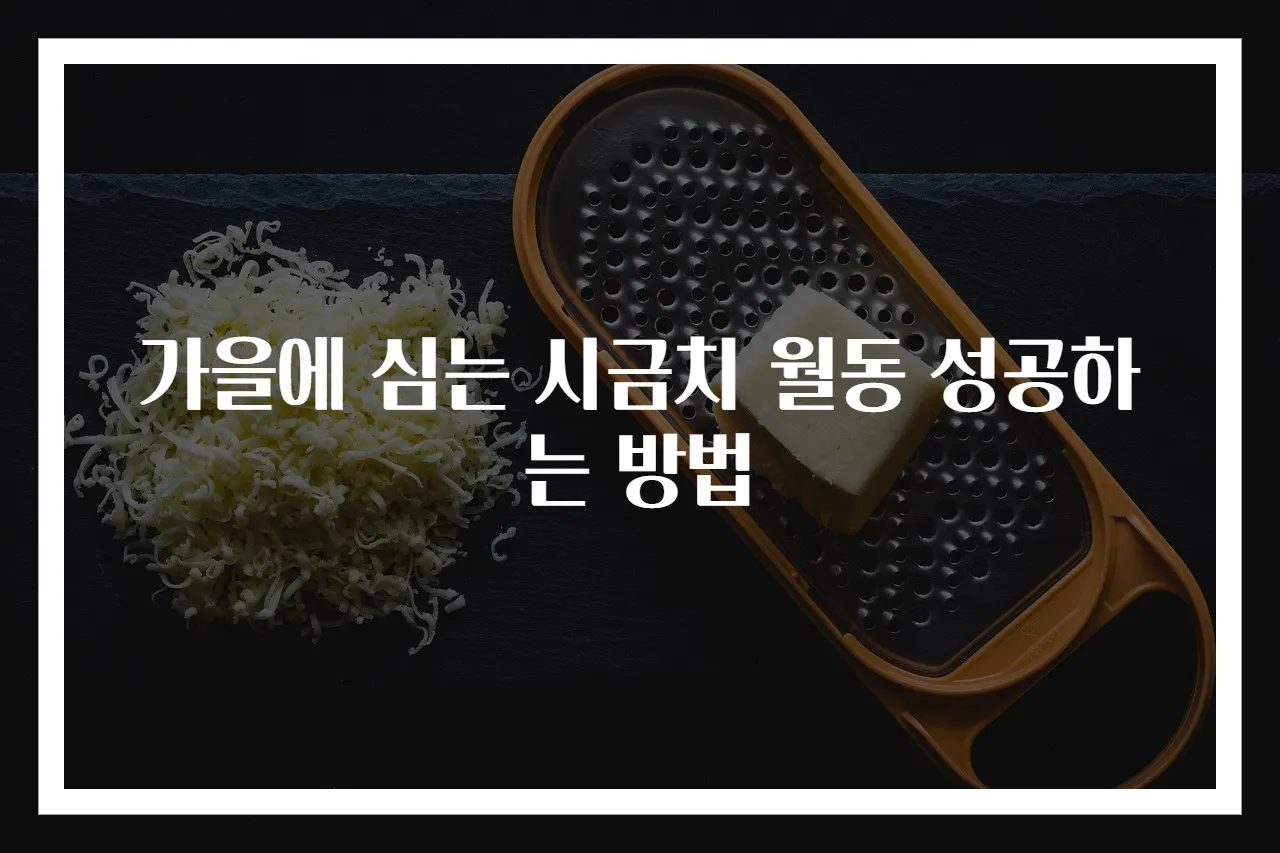 가을에 심는 시금치 월동 성공하는 방법