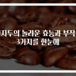 건자두의 놀라운 효능과 부작용 3가지를 한눈에