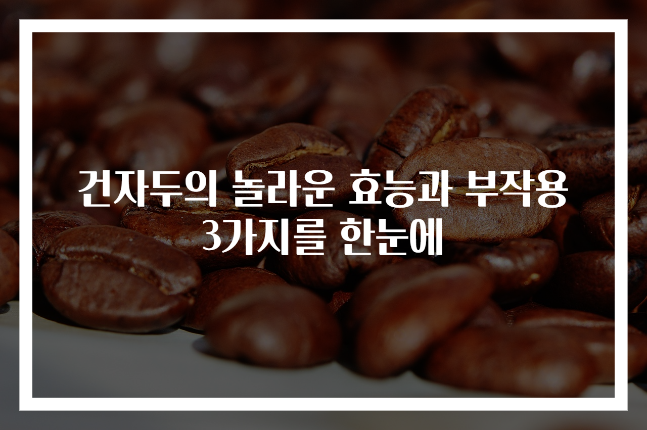 건자두의 놀라운 효능과 부작용 3가지를 한눈에