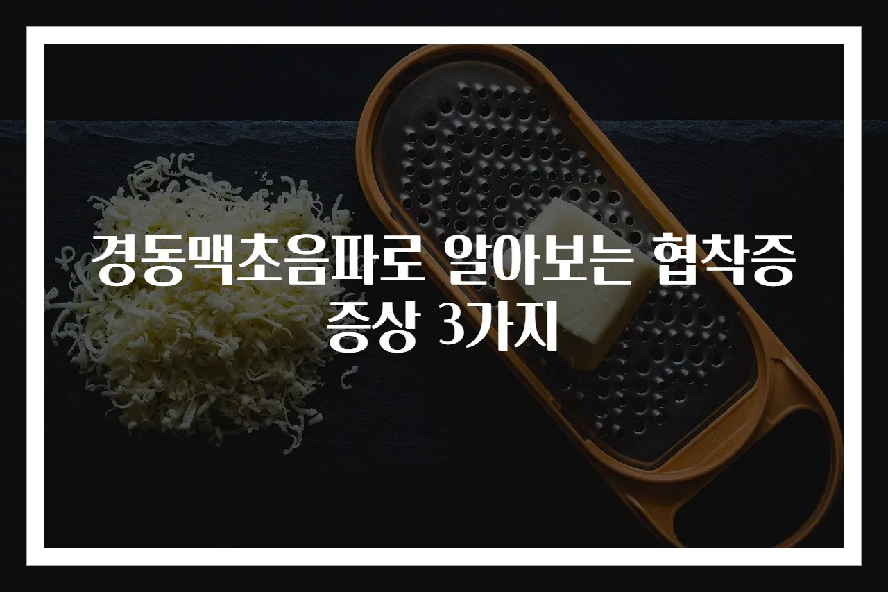 경동맥초음파로 알아보는 협착증 증상 3가지