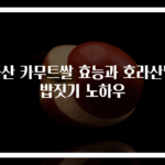 국산 카무트쌀 효능과 호라산밀 밥짓기 노하우