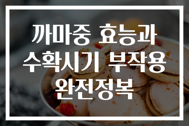 까마중 효능과 수확시기 부작용 완전정복