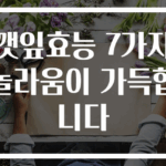 깻잎효능 7가지 놀라움이 가득합니다