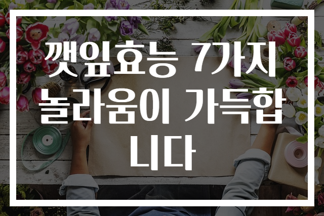 깻잎효능 7가지 놀라움이 가득합니다