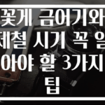 꽃게 금어기와 제철 시기 꼭 알아야 할 3가지 팁