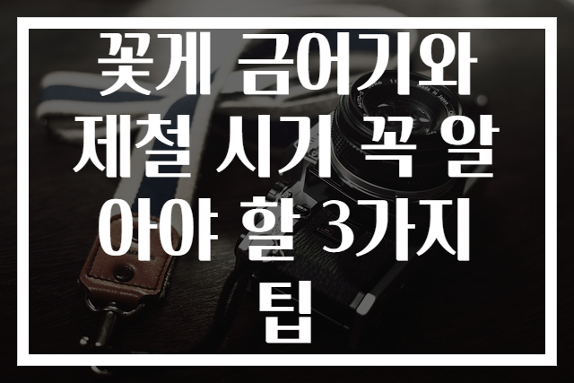 꽃게 금어기와 제철 시기 꼭 알아야 할 3가지 팁