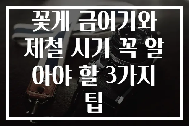 꽃게 금어기와 제철 시기 꼭 알아야 할 3가지 팁