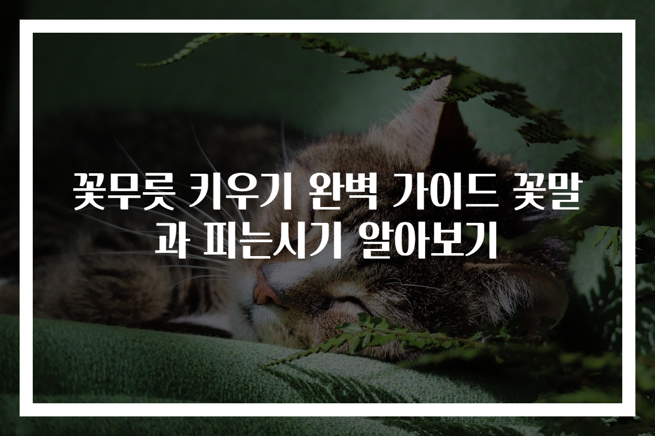꽃무릇 키우기 완벽 가이드 꽃말과 피는시기 알아보기
