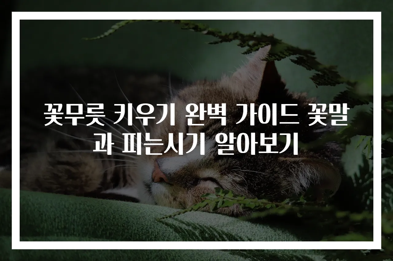 꽃무릇 키우기 완벽 가이드 꽃말과 피는시기 알아보기