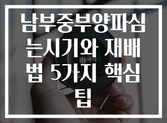 남부중부양파심는시기와 재배법 5가지 핵심팁