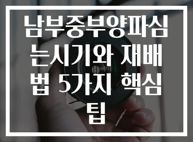 남부중부양파심는시기와 재배법 5가지 핵심팁