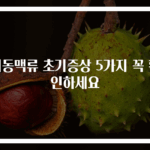 뇌동맥류 초기증상 5가지 꼭 확인하세요