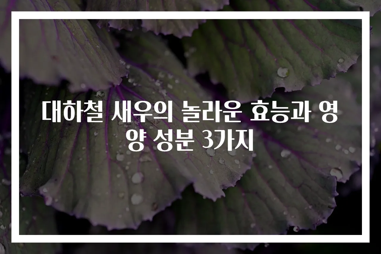 대하철 새우의 놀라운 효능과 영양 성분 3가지