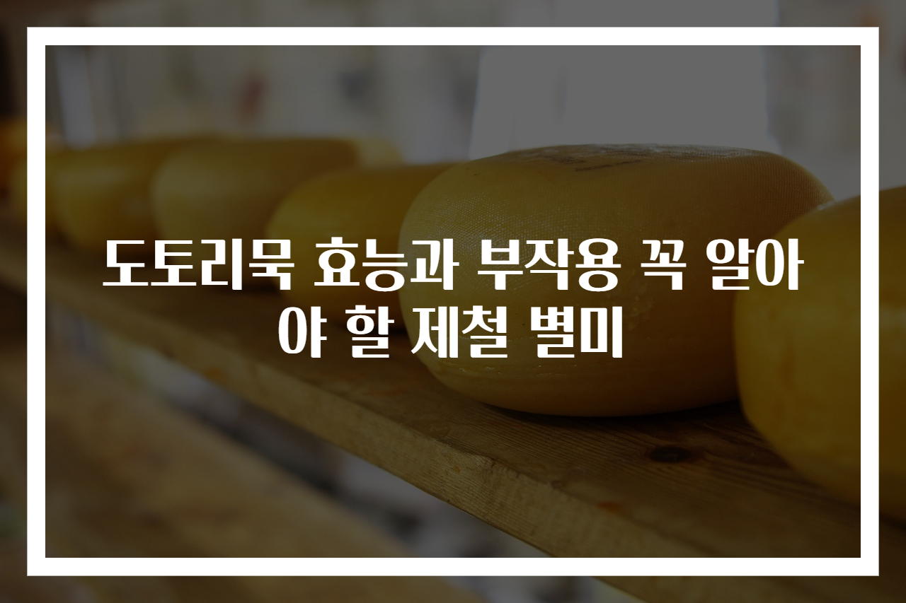 도토리묵 효능과 부작용 꼭 알아야 할 제철 별미